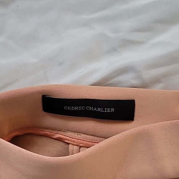 Cedric Charlier Peach Smooth Knee Length A line Panel  Skater Skirt - Picture 6 of 11